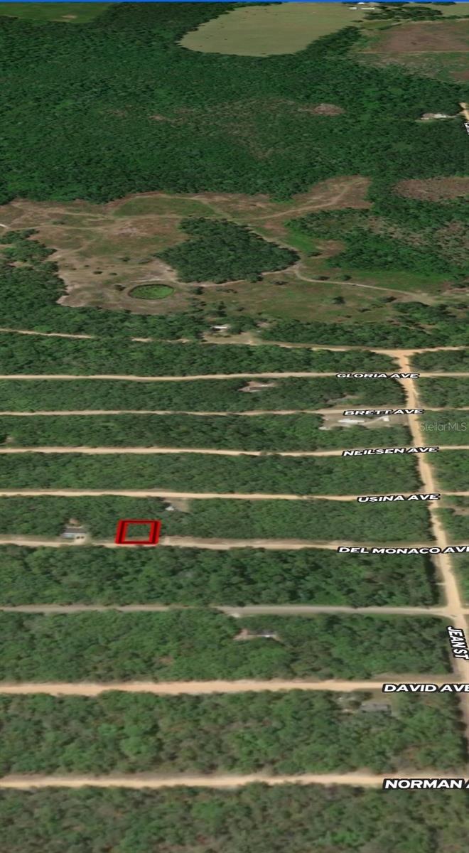 LOT 28 DEL MONACO AVE, INTERLACHEN, FL — photo 2