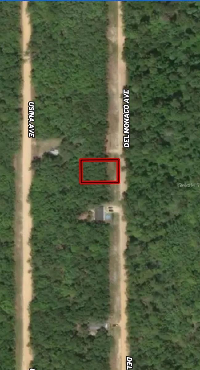 LOT 28 DEL MONACO AVE, INTERLACHEN, FL — photo 3