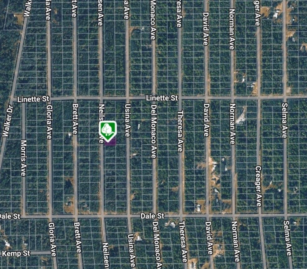 LOT 7 NEILSEN AVE, INTERLACHEN, FL