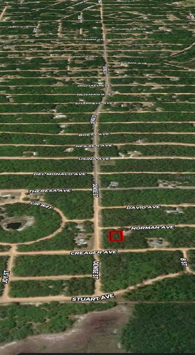 LOT 16 NORMAN AVE, INTERLACHEN, FL — photo 2