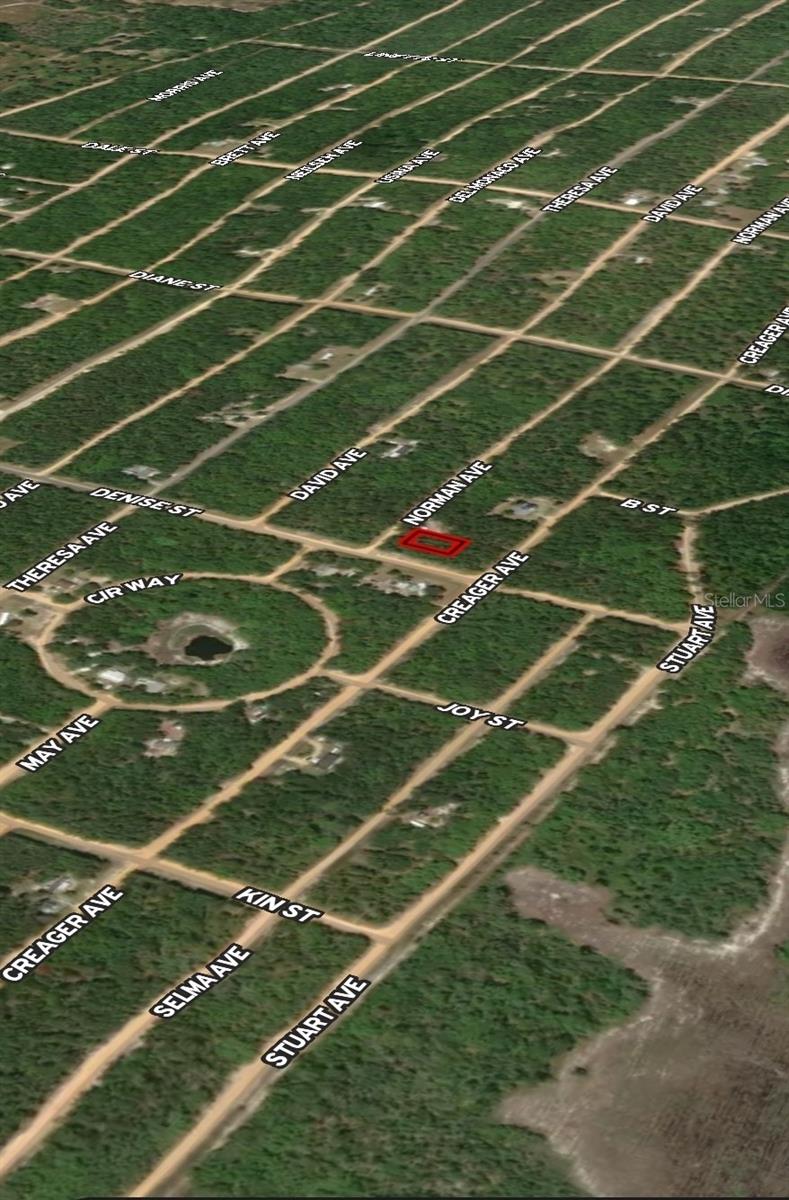 LOT 16 NORMAN AVE, INTERLACHEN, FL — photo 3
