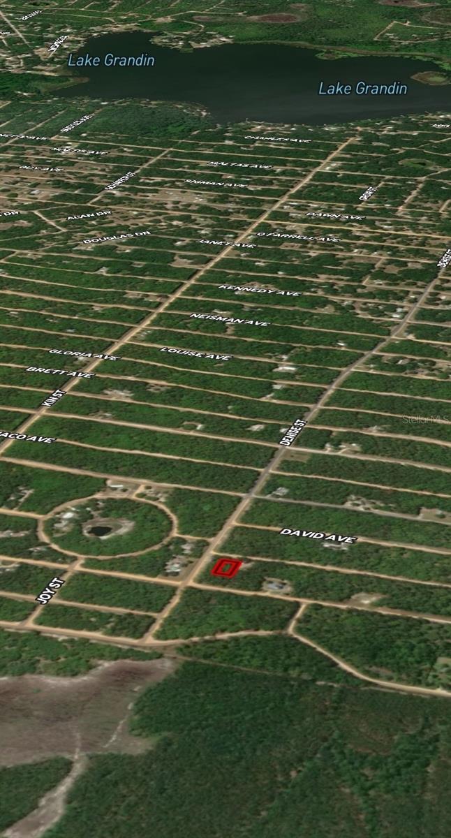 LOT 16 NORMAN AVE, INTERLACHEN, FL — photo 4