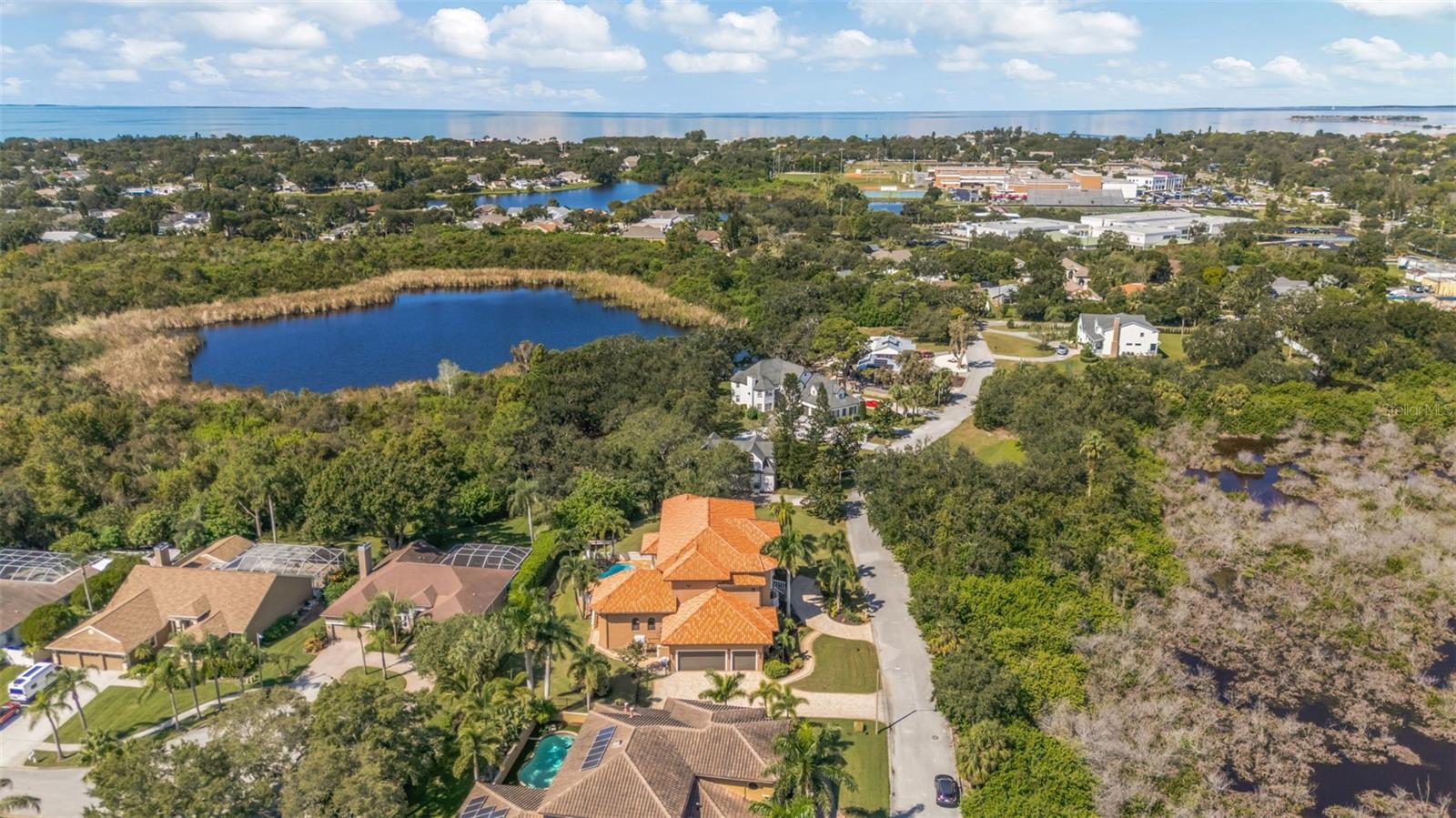 1079 ASHLAND AVE, TARPON SPRINGS, FL — photo 44