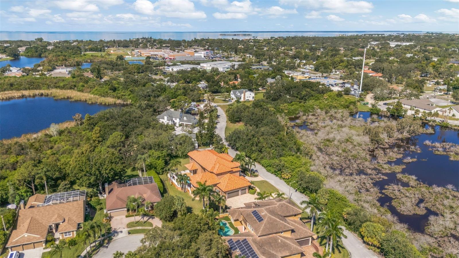 1079 ASHLAND AVE, TARPON SPRINGS, FL — photo 45