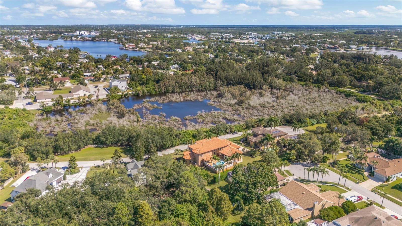 1079 ASHLAND AVE, TARPON SPRINGS, FL — photo 46