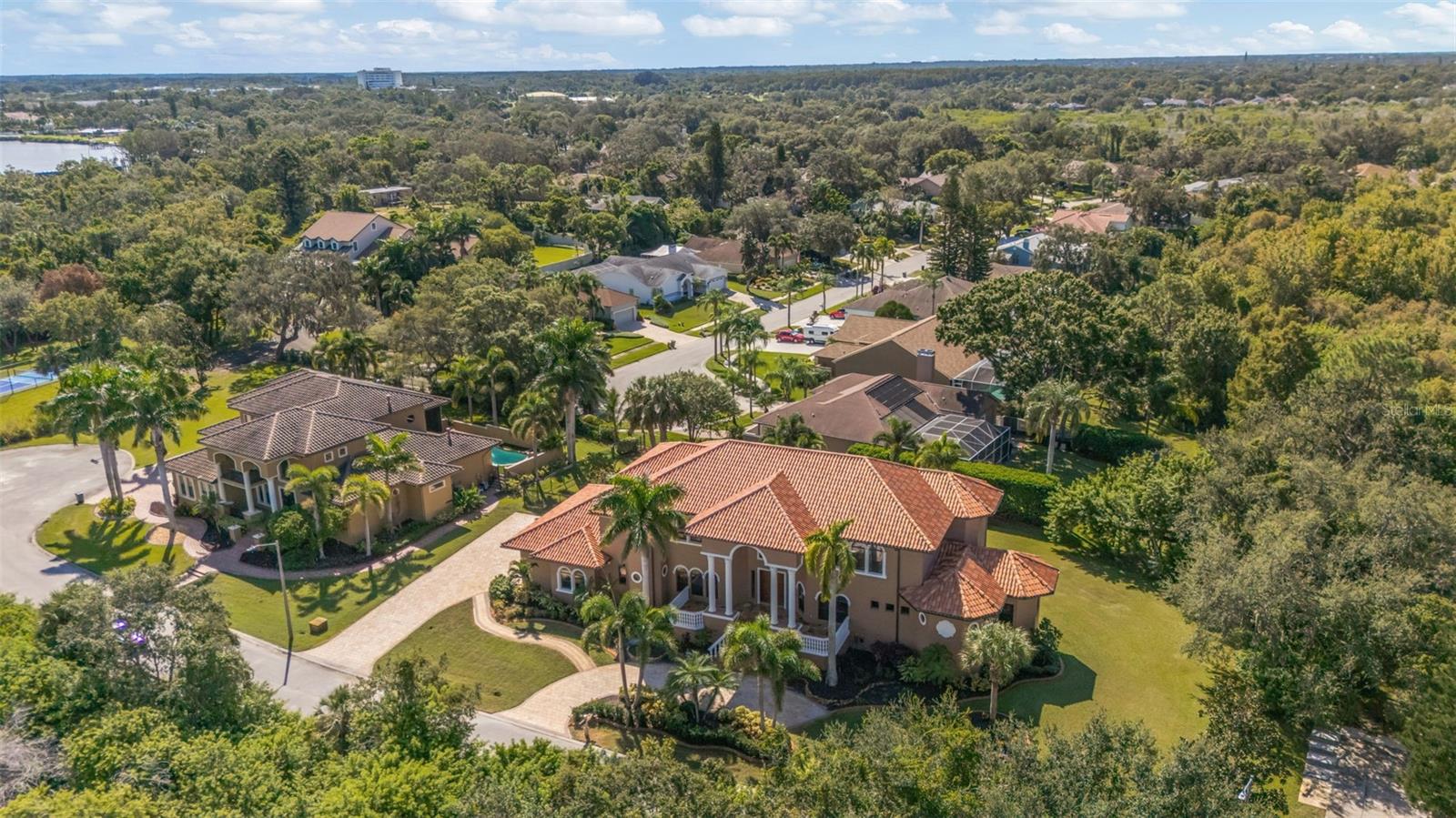 1079 ASHLAND AVE, TARPON SPRINGS, FL — photo 48