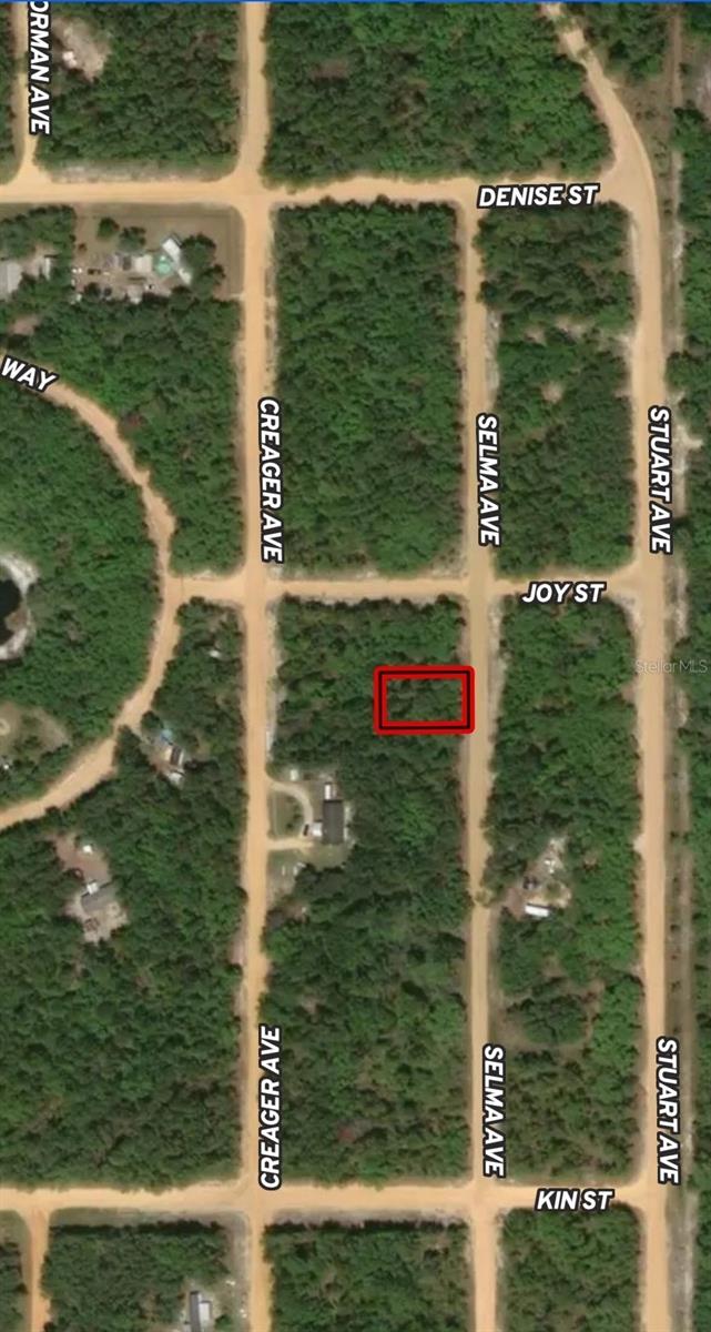 LOT 19 SELMA AVE, INTERLACHEN, FL