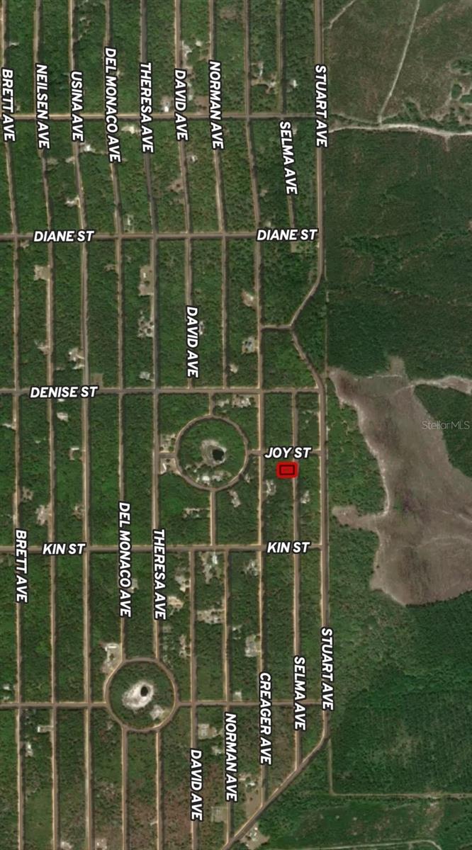 LOT 19 SELMA AVE, INTERLACHEN, FL — photo 4