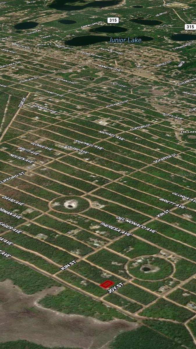 LOT 19 SELMA AVE, INTERLACHEN, FL — photo 5
