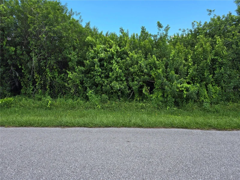 167 LENOIR ST NW, PORT CHARLOTTE, FL