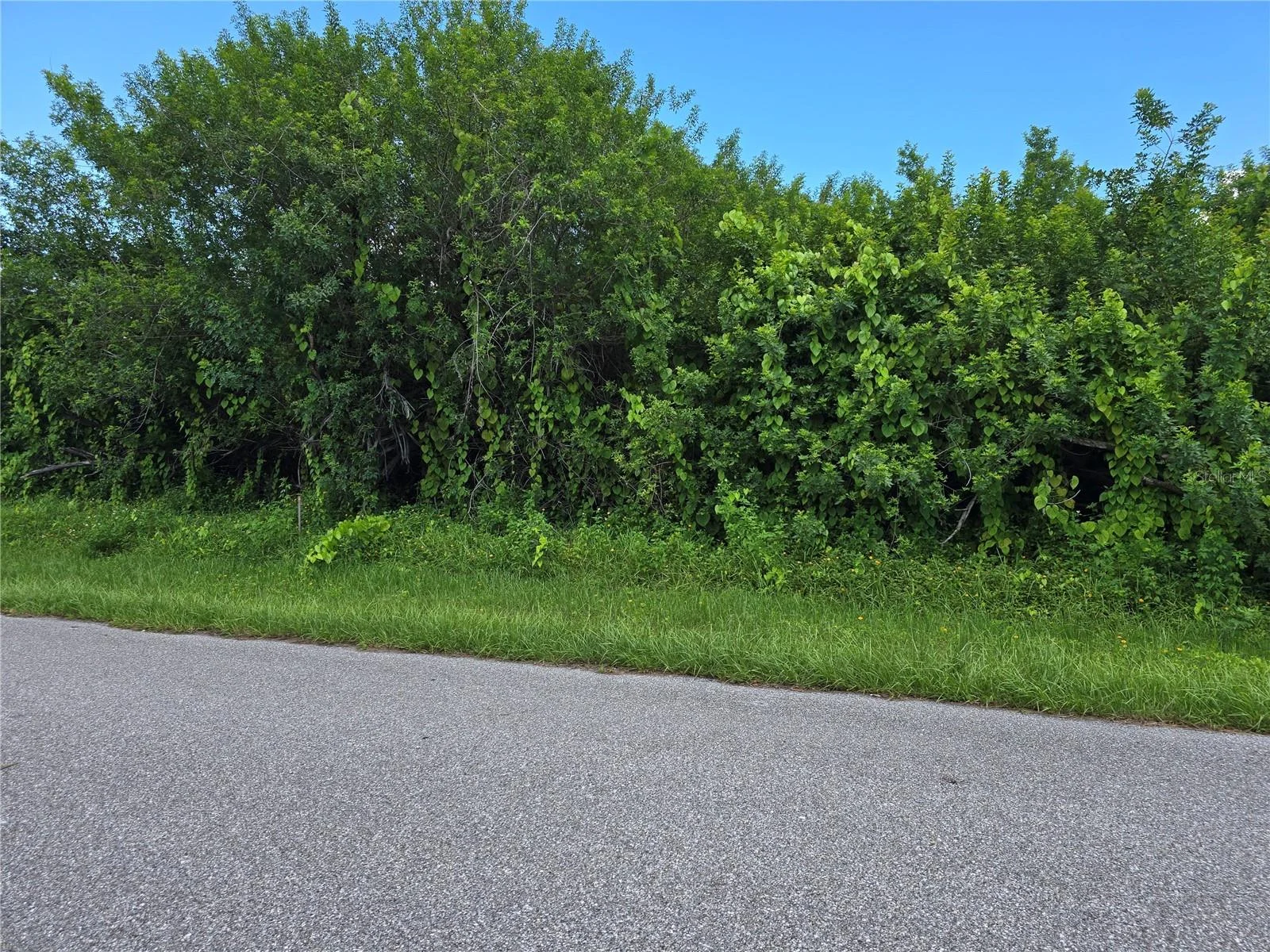 167 LENOIR ST NW, PORT CHARLOTTE, FL — photo 2