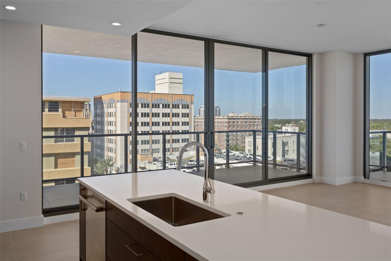 275 1ST AVE S #1001, ST PETERSBURG, FL — photo 11