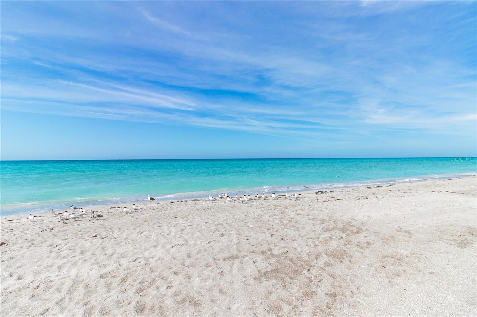 1065 GULF OF MEXICO DR #402, LONGBOAT KEY, FL — photo 28