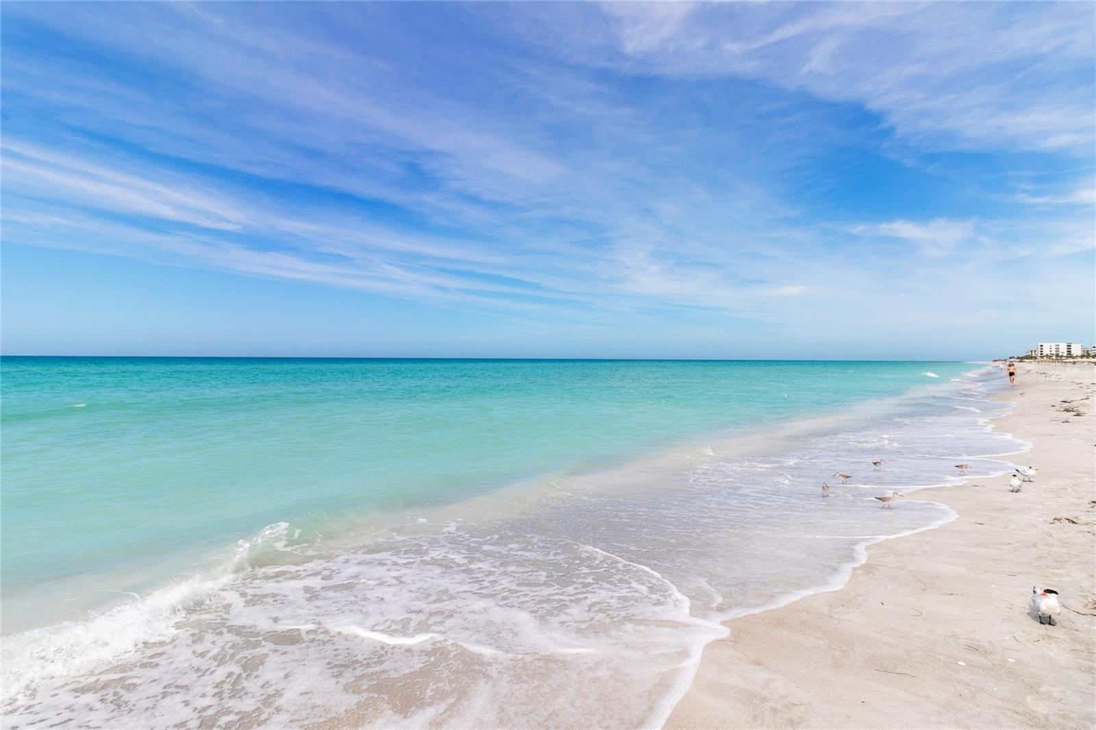 1065 GULF OF MEXICO DR #402, LONGBOAT KEY, FL — photo 29