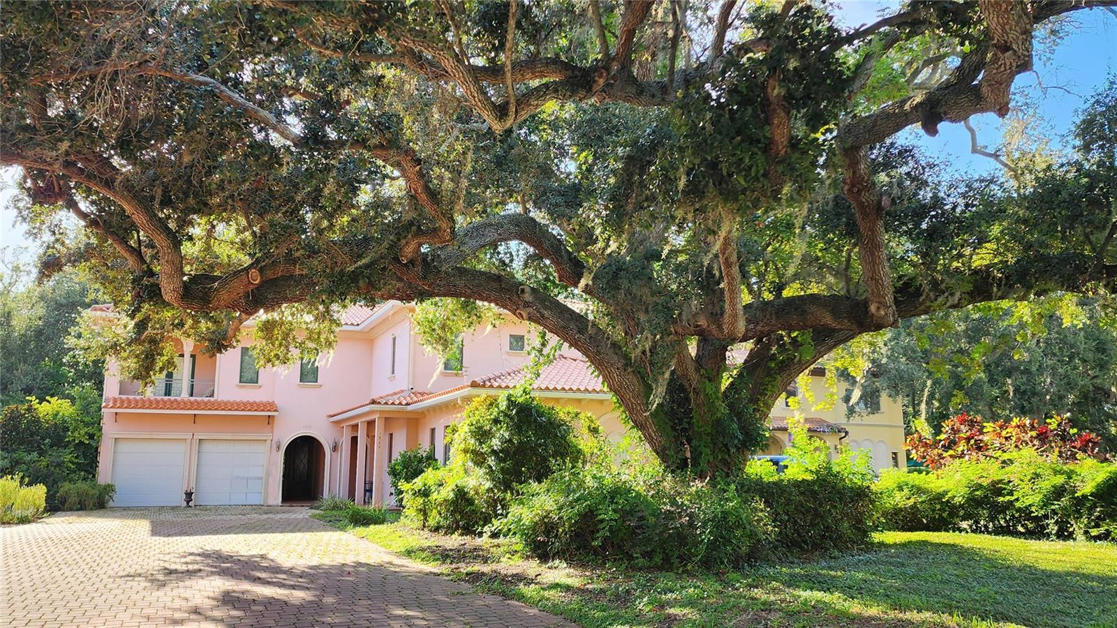 1962 FREEDOM DR, CLEARWATER, FL — photo 2