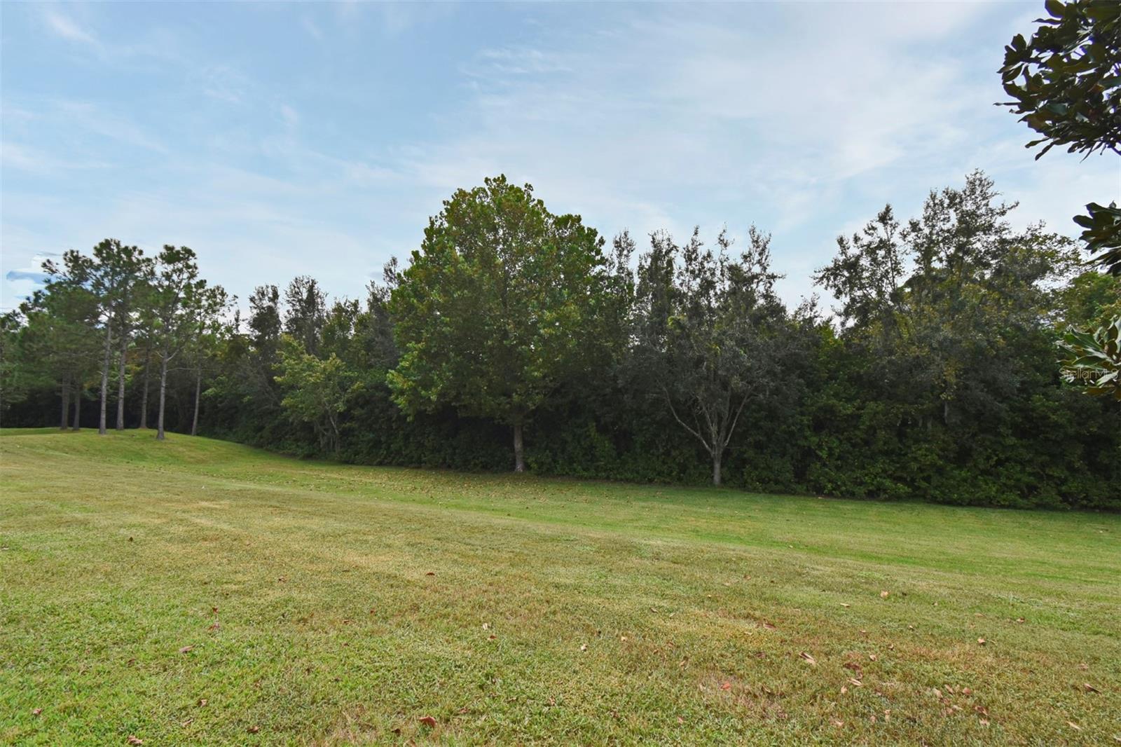 1524 DOWNY BIRCH LN, LONGWOOD, FL — photo 32