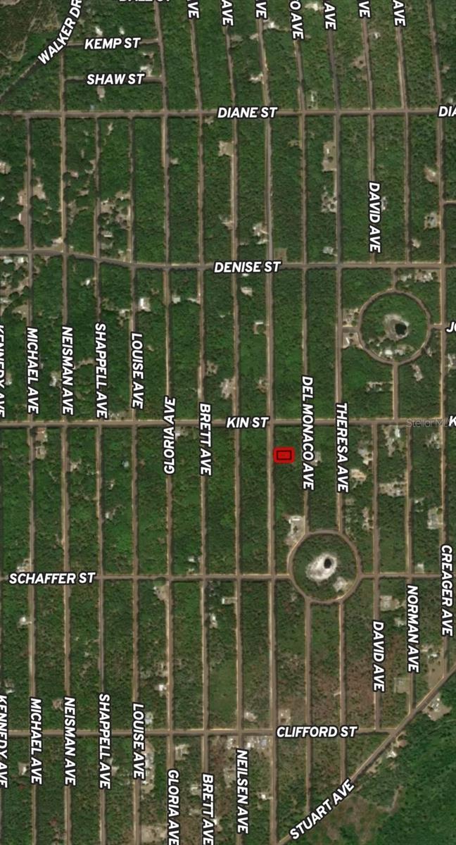 LOT 4 USINA AVE, INTERLACHEN, FL — photo 2