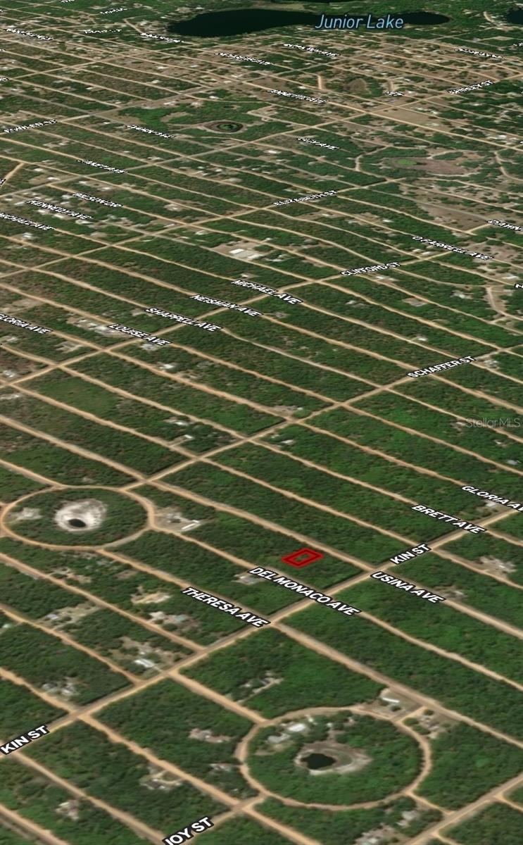 LOT 4 USINA AVE, INTERLACHEN, FL — photo 4