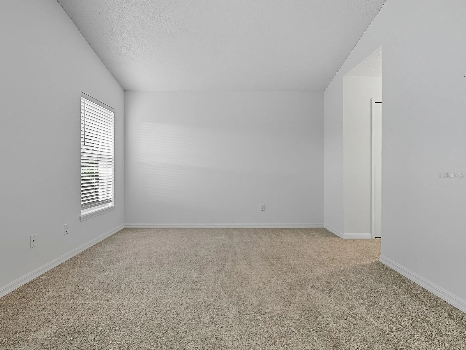 3016 ANDOVER CT, MOUNT DORA, FL — photo 51