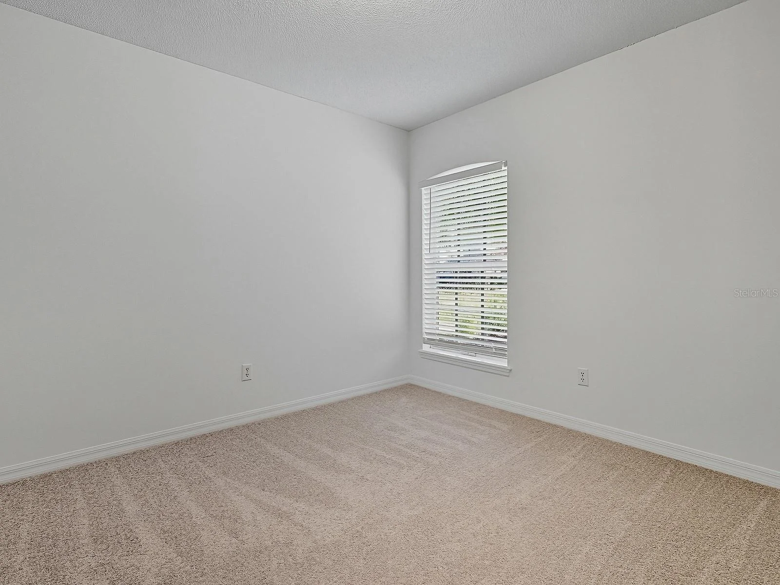 3016 ANDOVER CT, MOUNT DORA, FL — photo 57