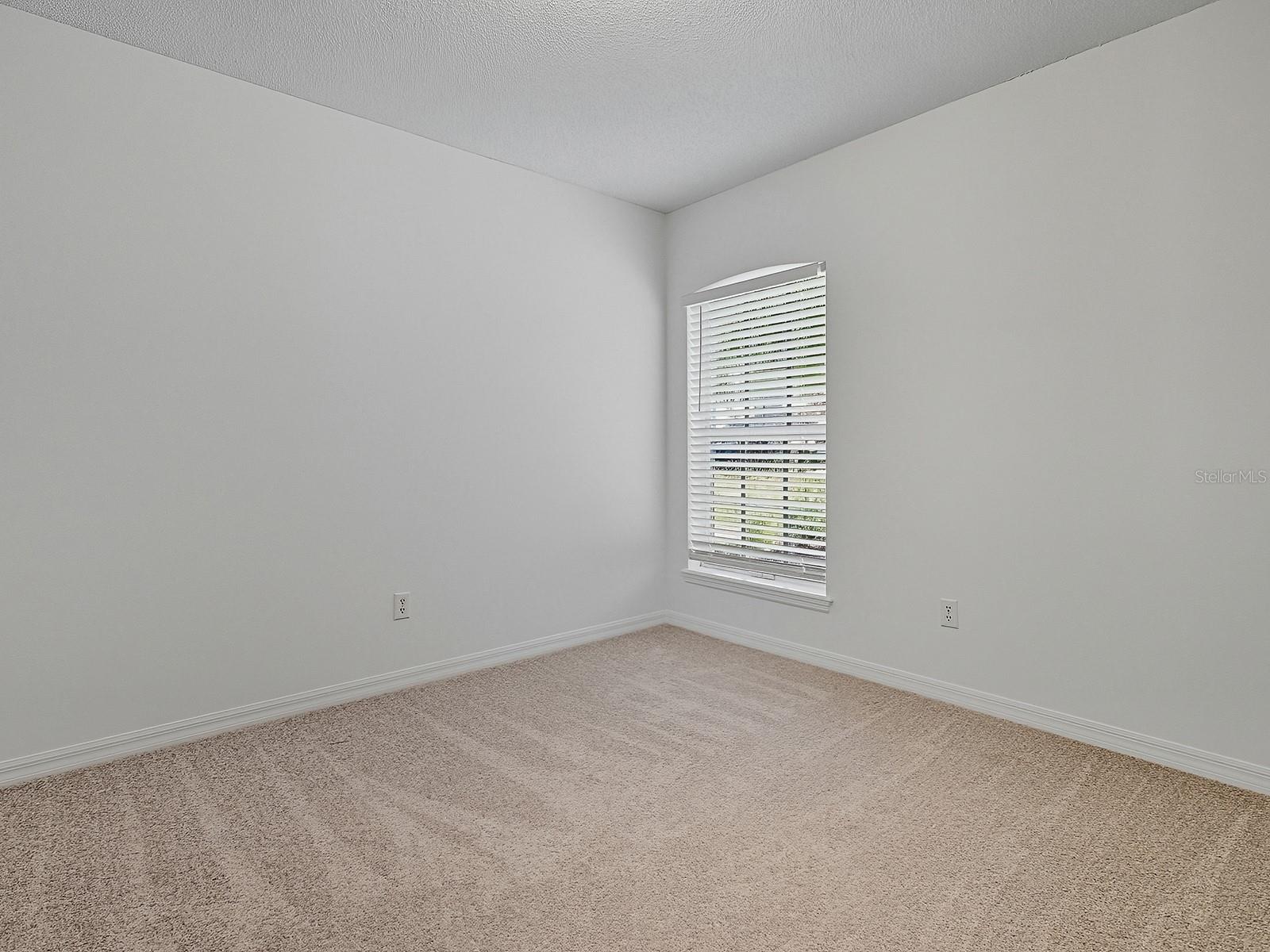 3016 ANDOVER CT, MOUNT DORA, FL — photo 58