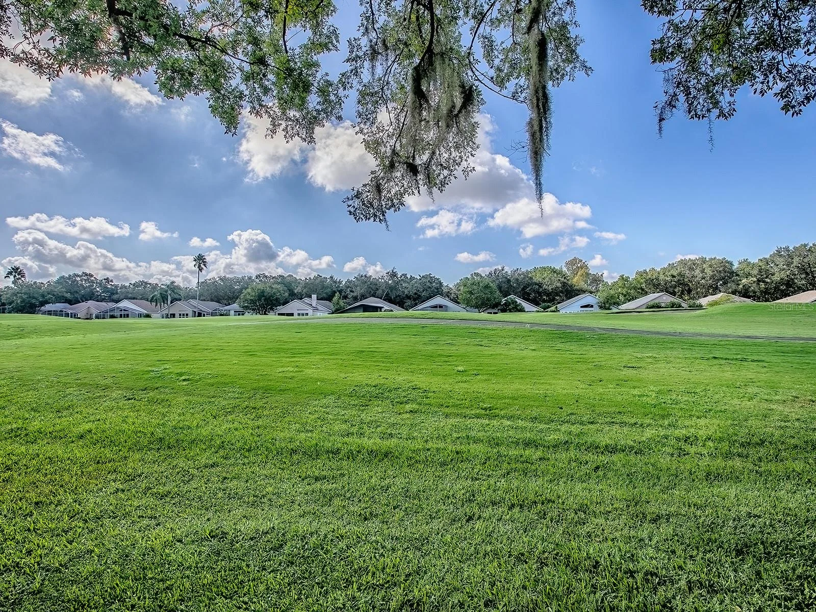 3016 ANDOVER CT, MOUNT DORA, FL — photo 69