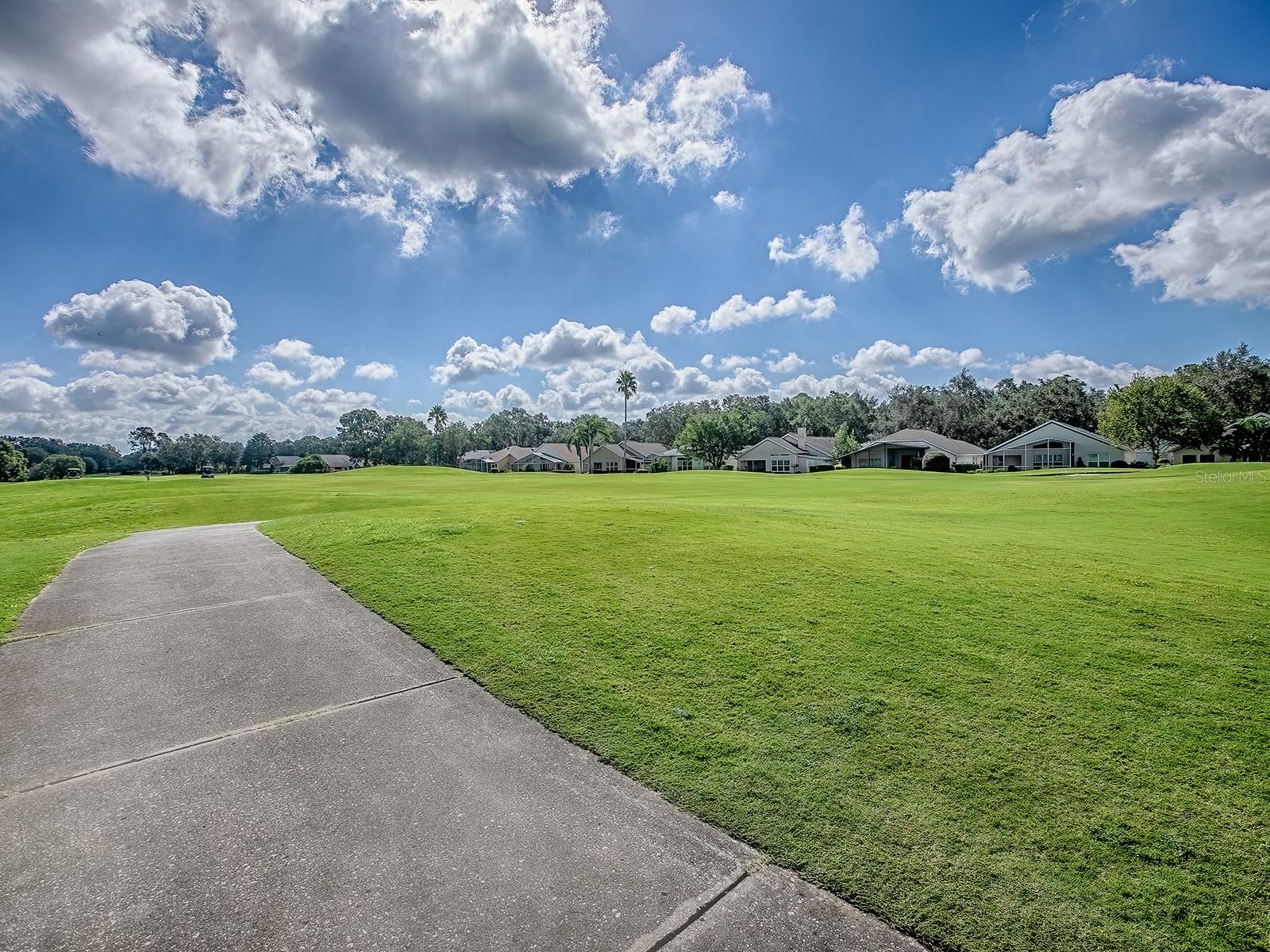 3016 ANDOVER CT, MOUNT DORA, FL — photo 72