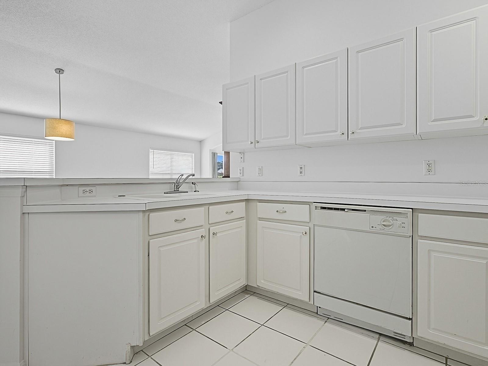 3016 ANDOVER CT, MOUNT DORA, FL — photo 80