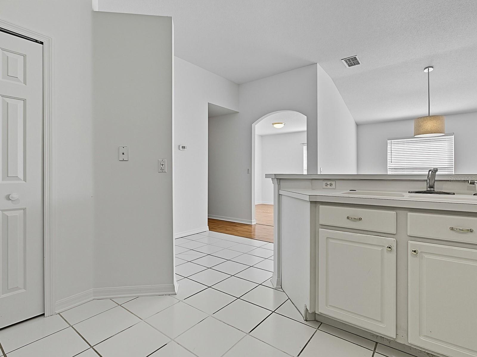 3016 ANDOVER CT, MOUNT DORA, FL — photo 81