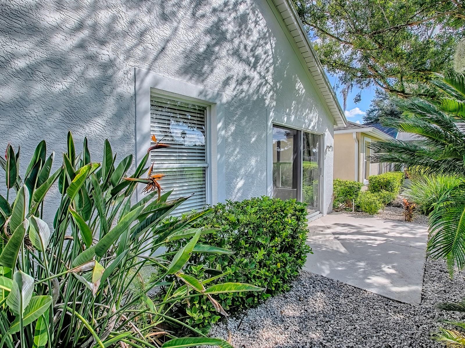 3016 ANDOVER CT, MOUNT DORA, FL — photo 125