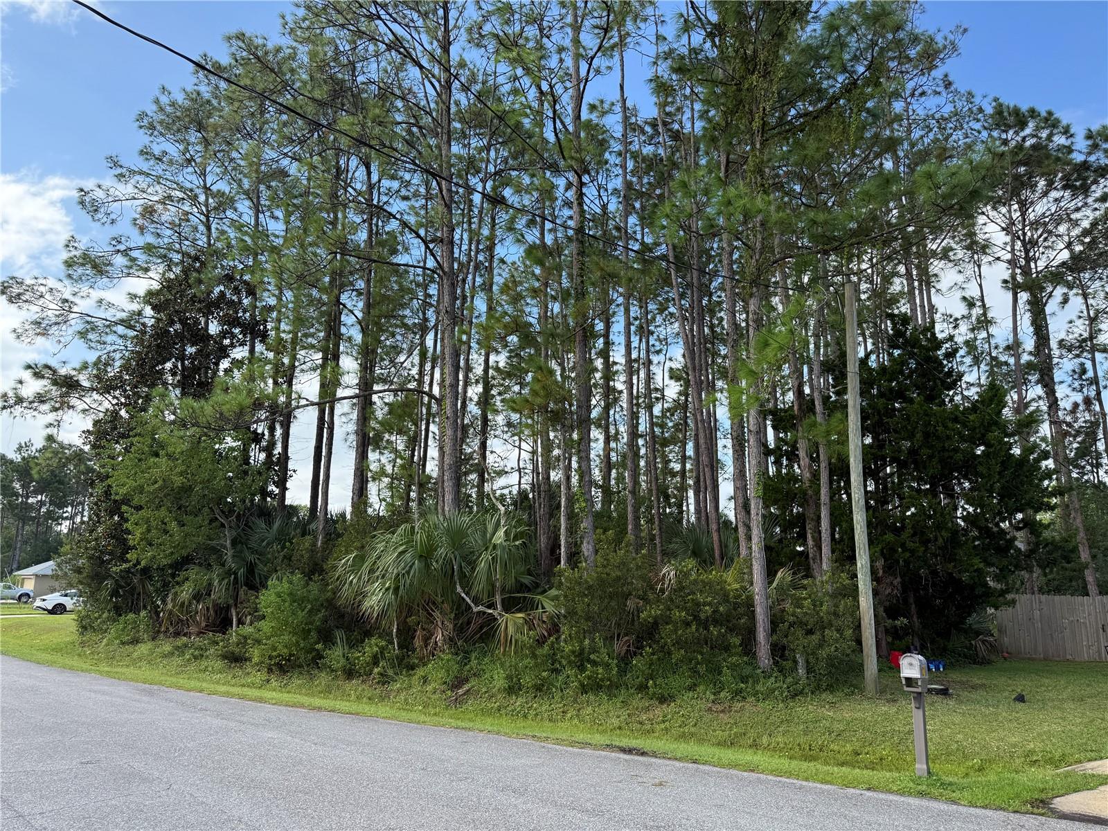 19 LINDBERG LN, PALM COAST, FL — photo 3