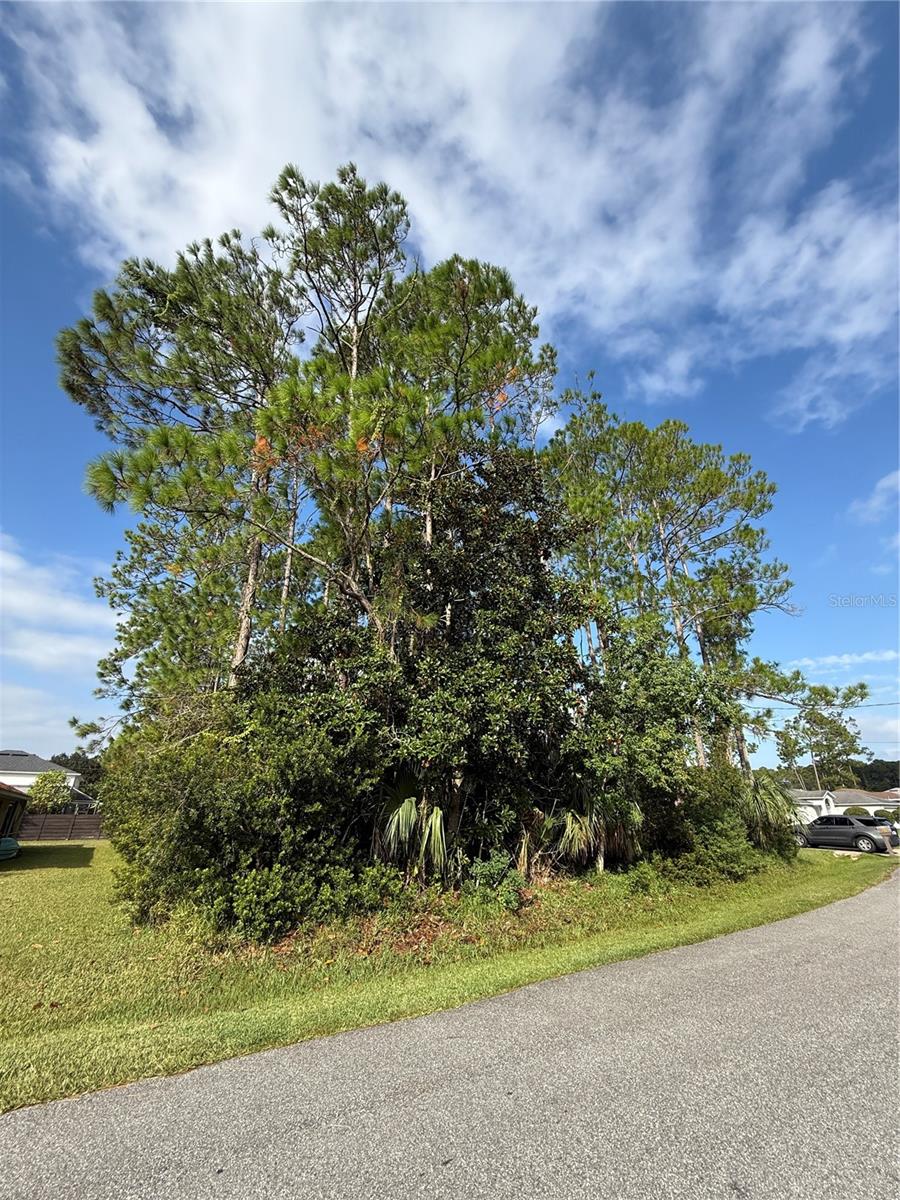 19 LINDBERG LN, PALM COAST, FL — photo 4