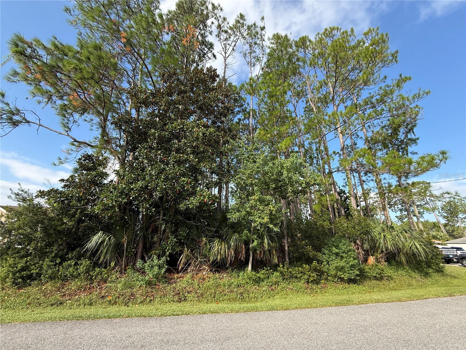 19 LINDBERG LN, PALM COAST, FL — photo 5