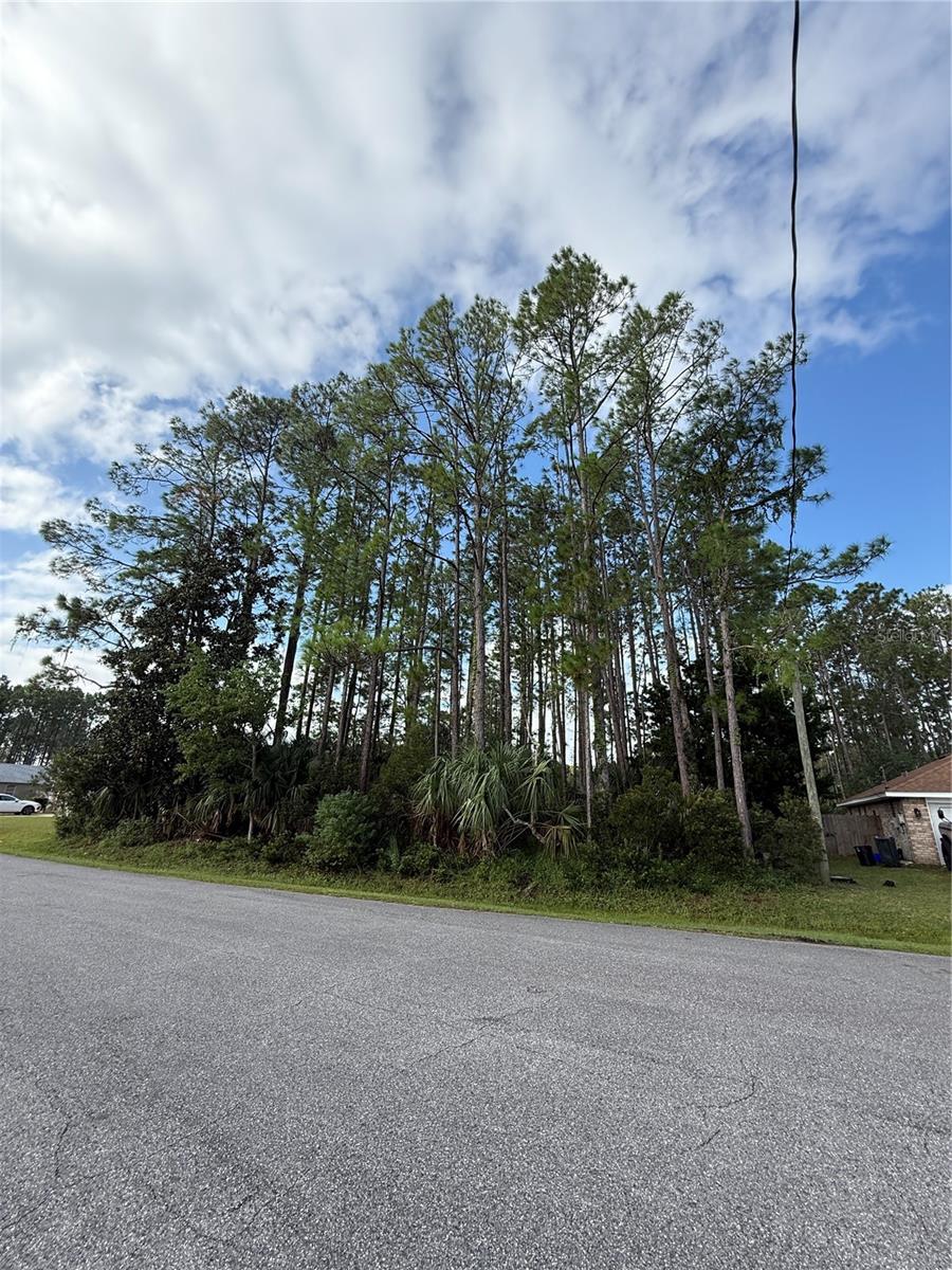 19 LINDBERG LN, PALM COAST, FL — photo 9