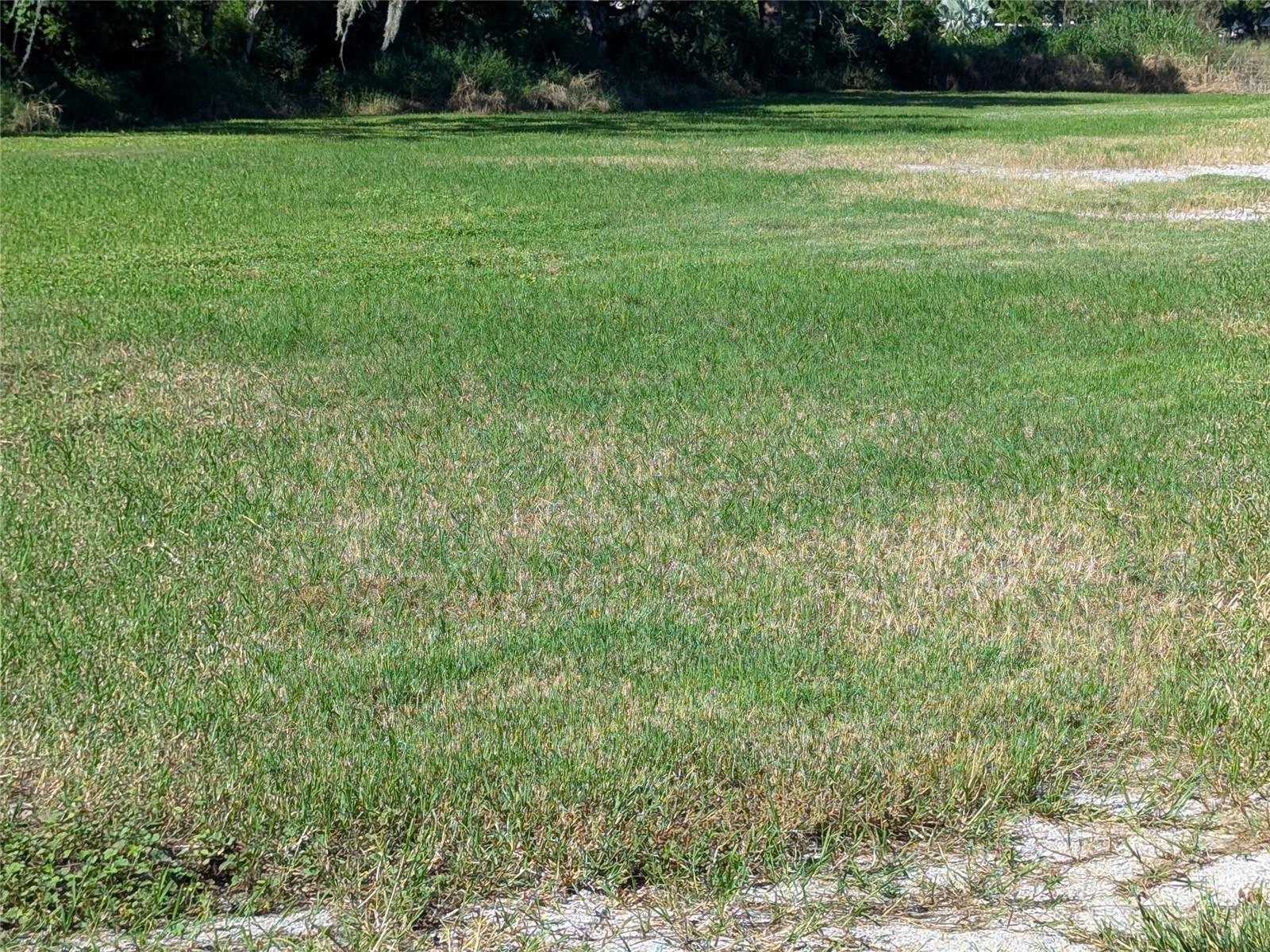 SE CARLSTROM FIELD RD, ARCADIA, FL — photo 14