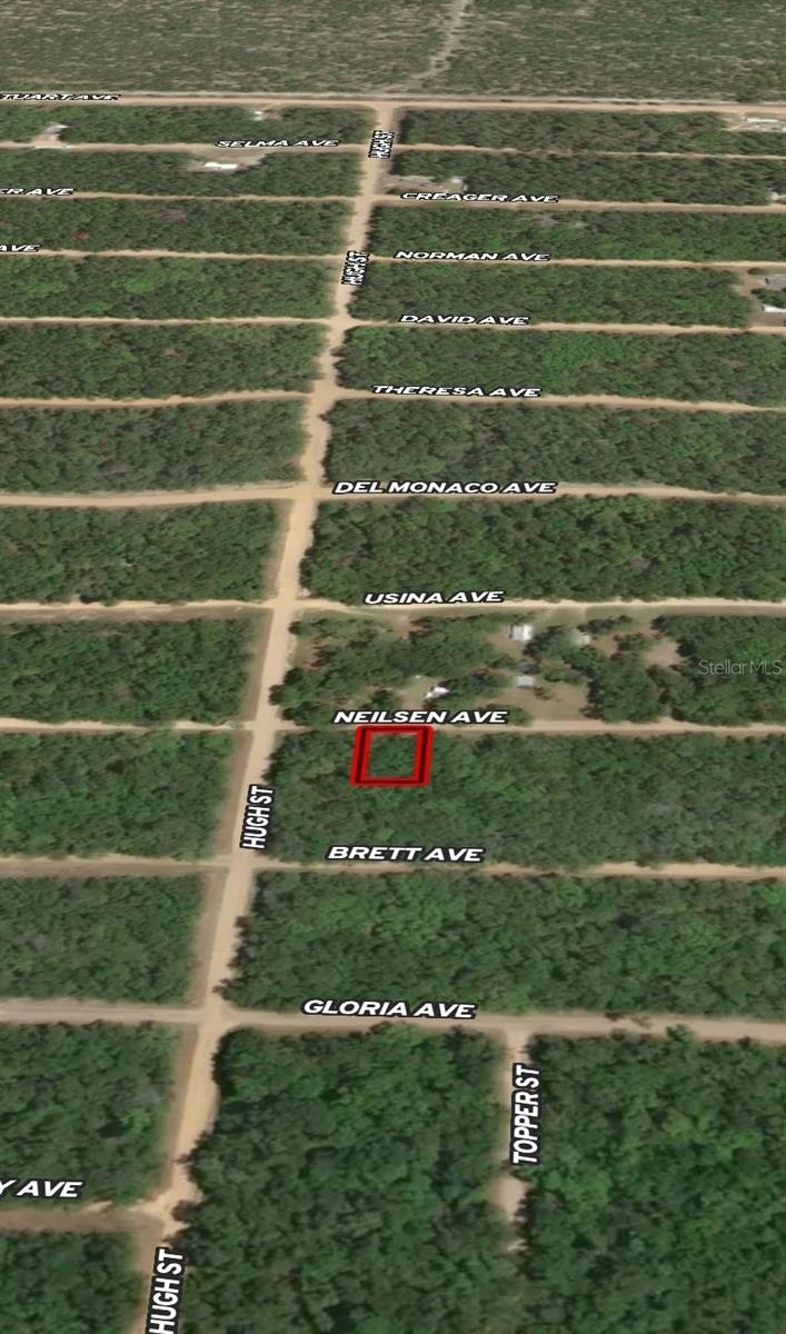 LOT 35 NEILSEN AVE, INTERLACHEN, FL — photo 2