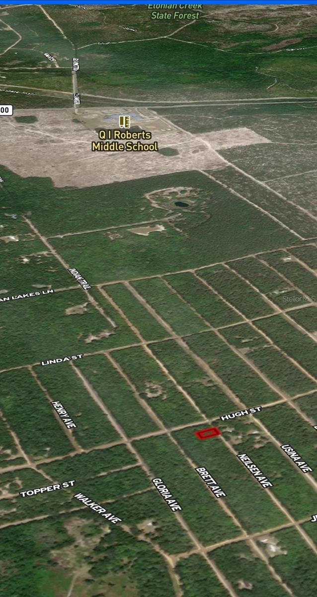 LOT 35 NEILSEN AVE, INTERLACHEN, FL — photo 3