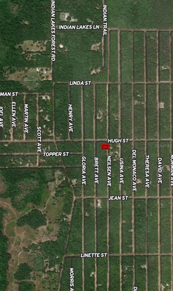 LOT 35 NEILSEN AVE, INTERLACHEN, FL — photo 4