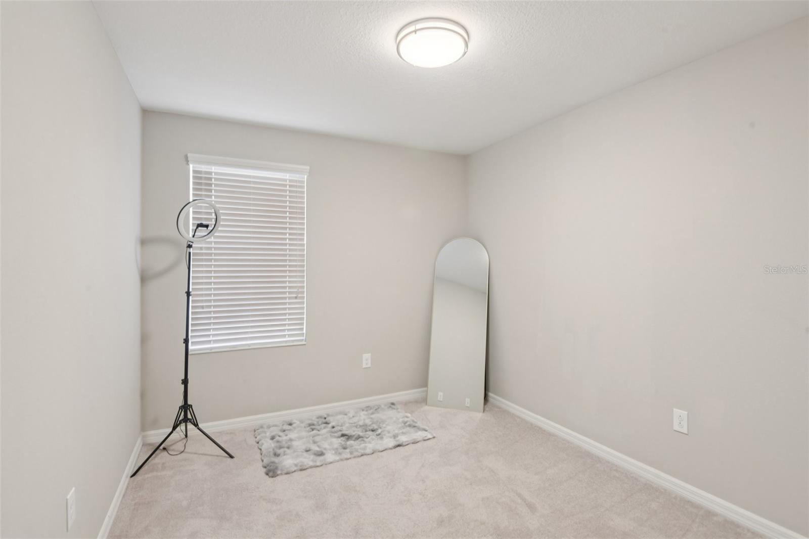 7046 TOWNE LAKE RD, RIVERVIEW, FL — photo 28