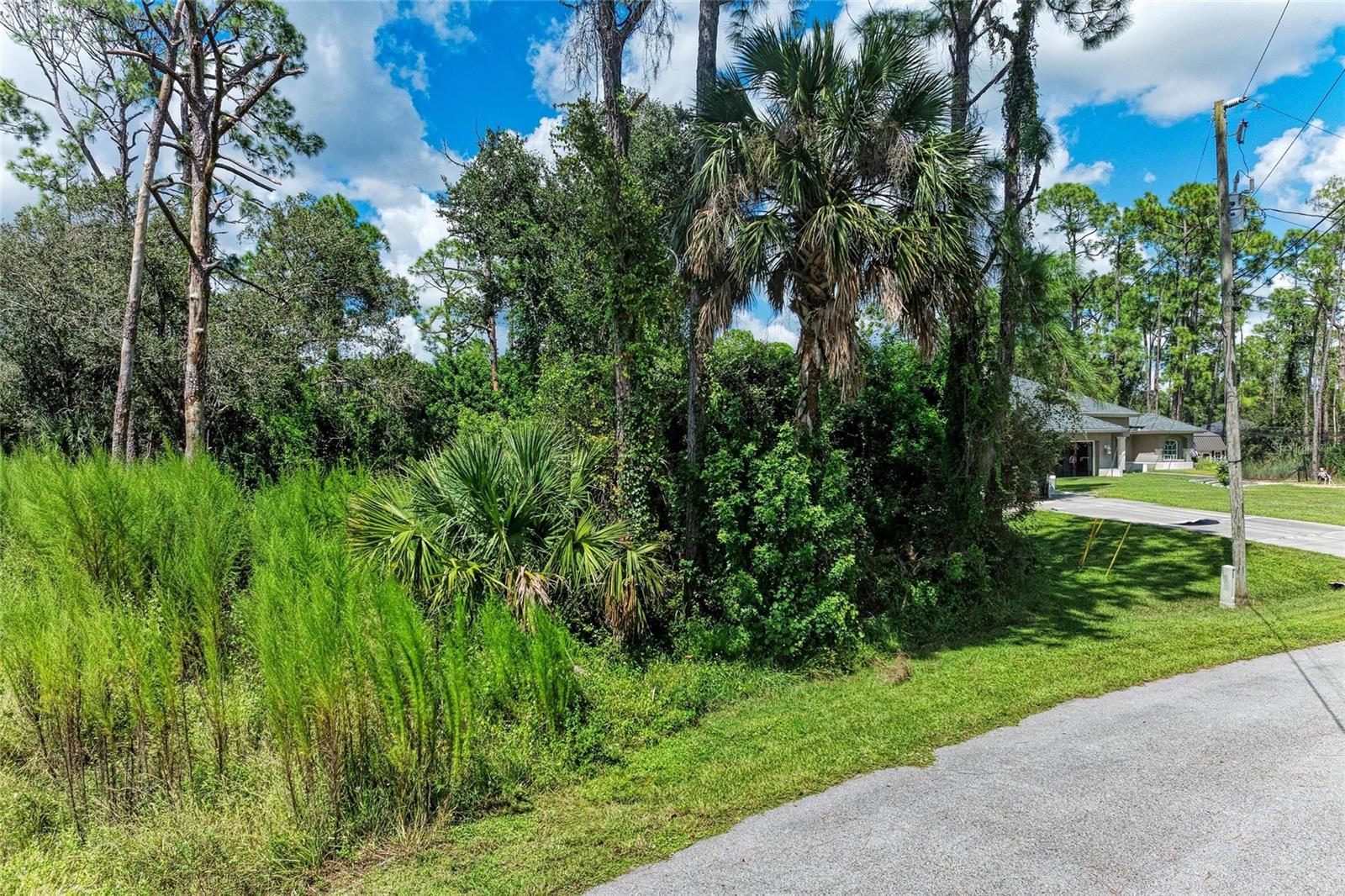 Lot 28 ZINKLE ST, NORTH PORT, FL — photo 8