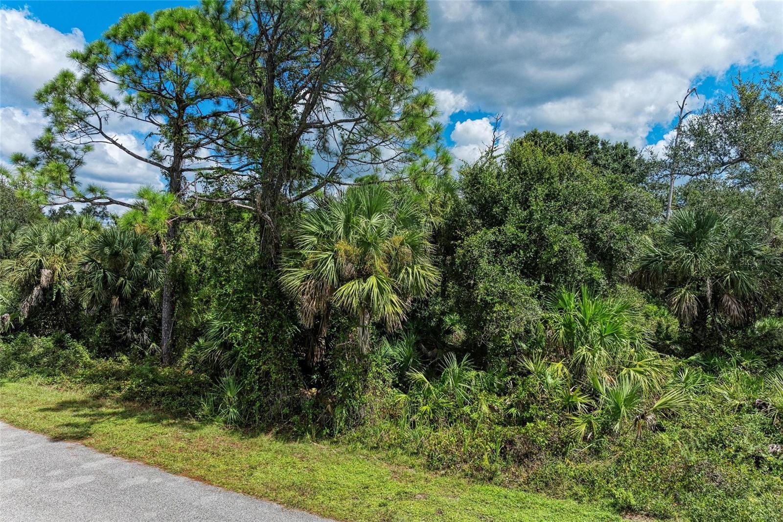 Lot 25 BILLINGHAM LN, NORTH PORT, FL — photo 9