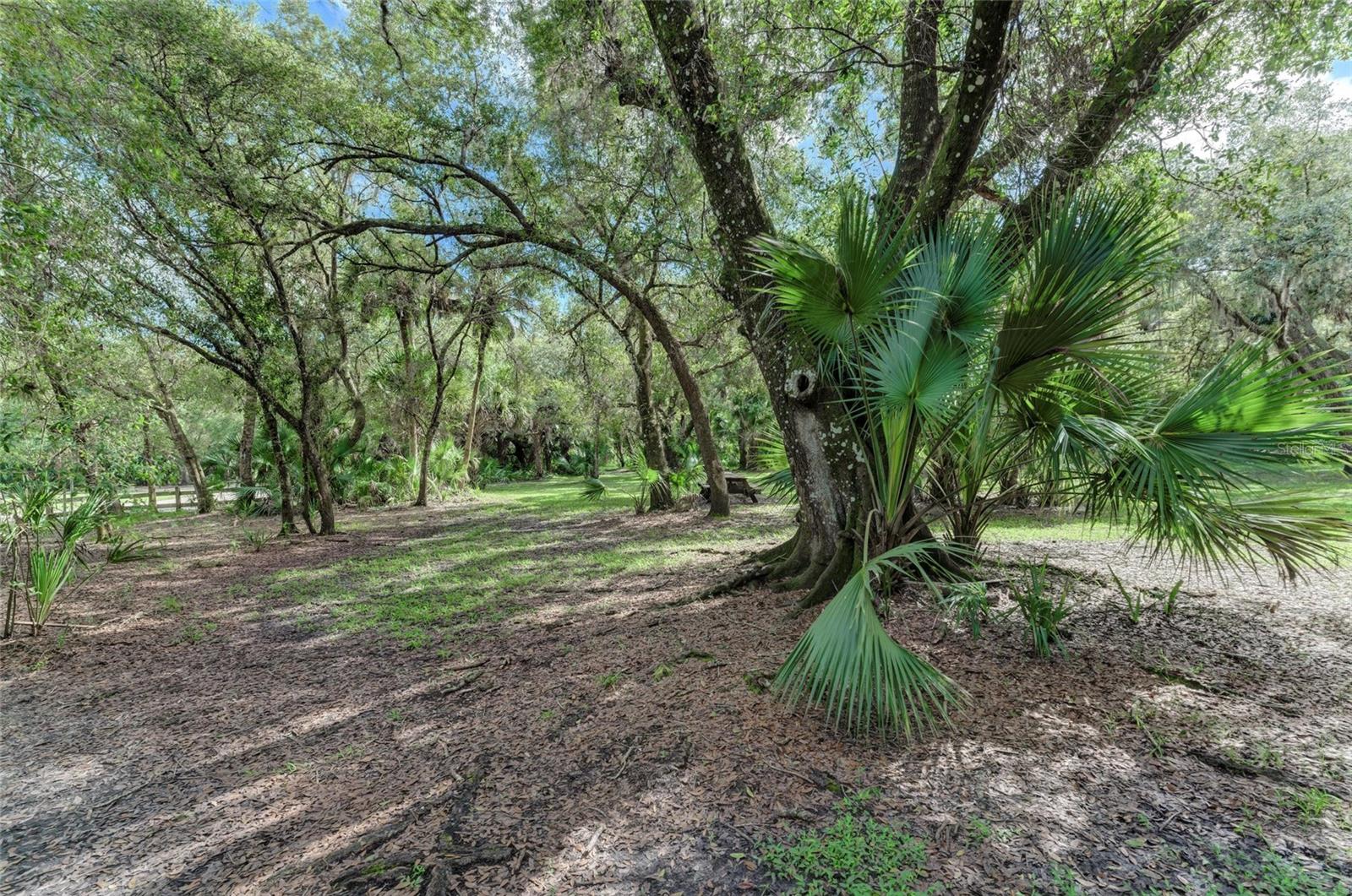 Lot 25 BILLINGHAM LN, NORTH PORT, FL — photo 24