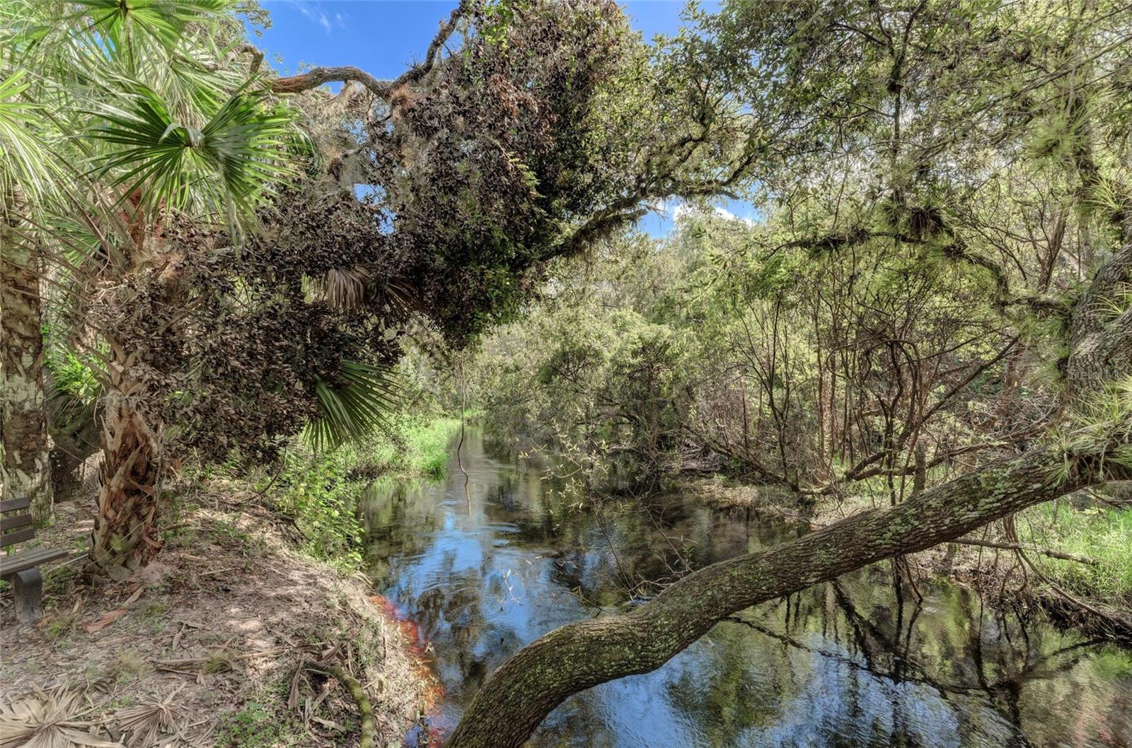 Lot 25 BILLINGHAM LN, NORTH PORT, FL — photo 46