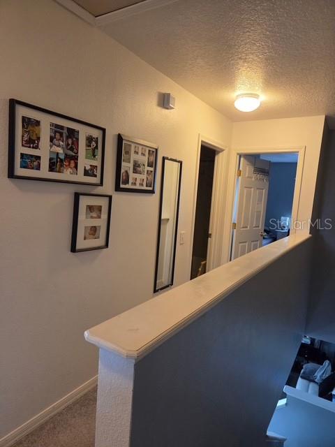2013 SEA FRONT CT, CLEARWATER, FL — photo 13