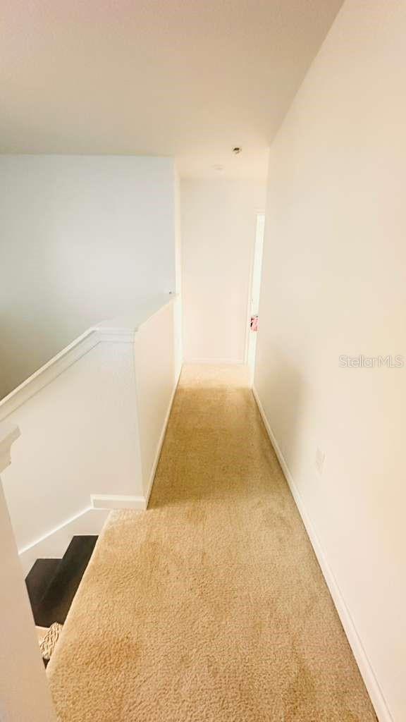 3166 ARMSTRONG SPRING DR, KISSIMMEE, FL — photo 16