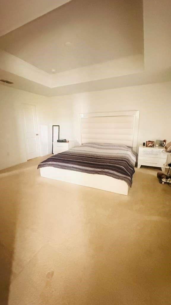 3166 ARMSTRONG SPRING DR, KISSIMMEE, FL — photo 24