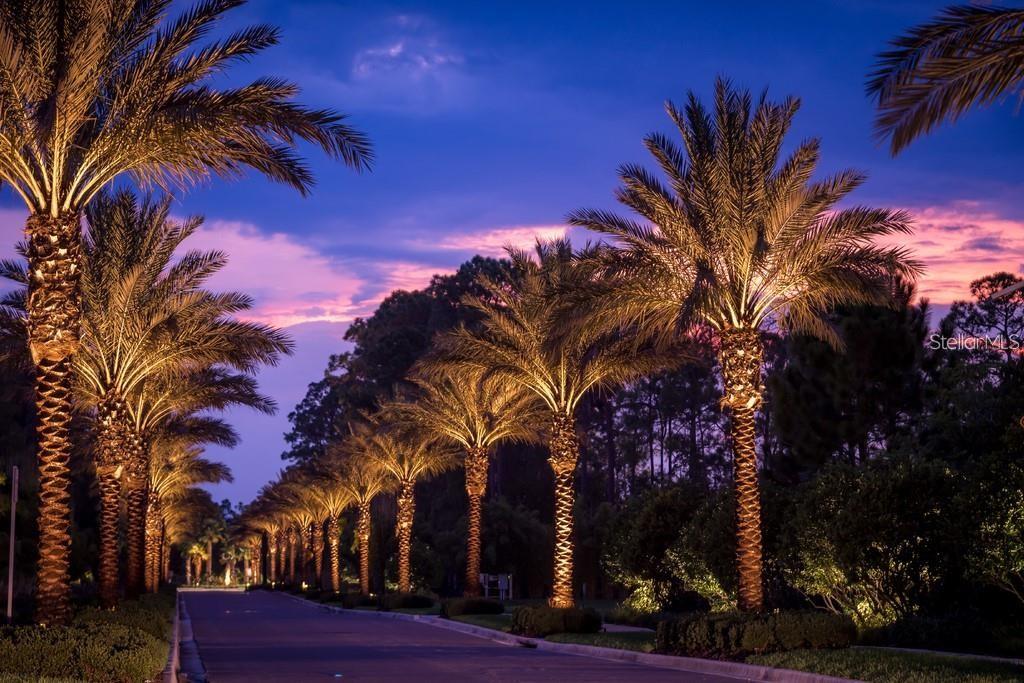 14501 GROVE RESORT AVE #1440, WINTER GARDEN, FL — photo 45