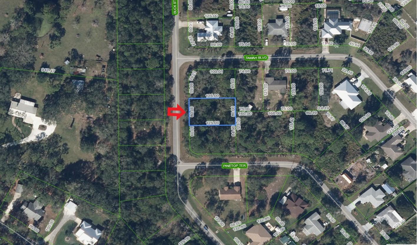1541 BUCK ST, LAKE PLACID, FL