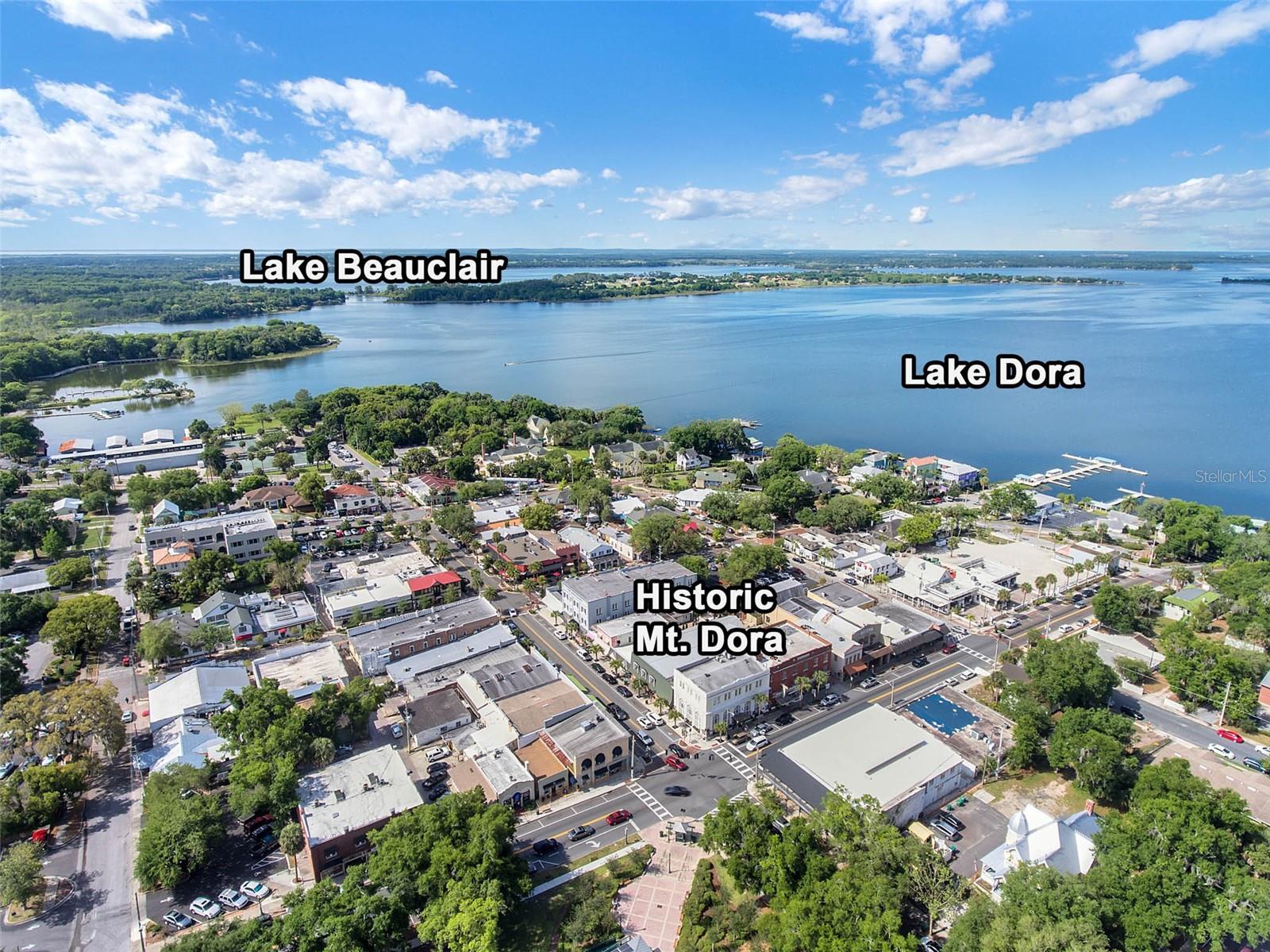 610 S HIGHLAND ST, MOUNT DORA, FL — photo 18