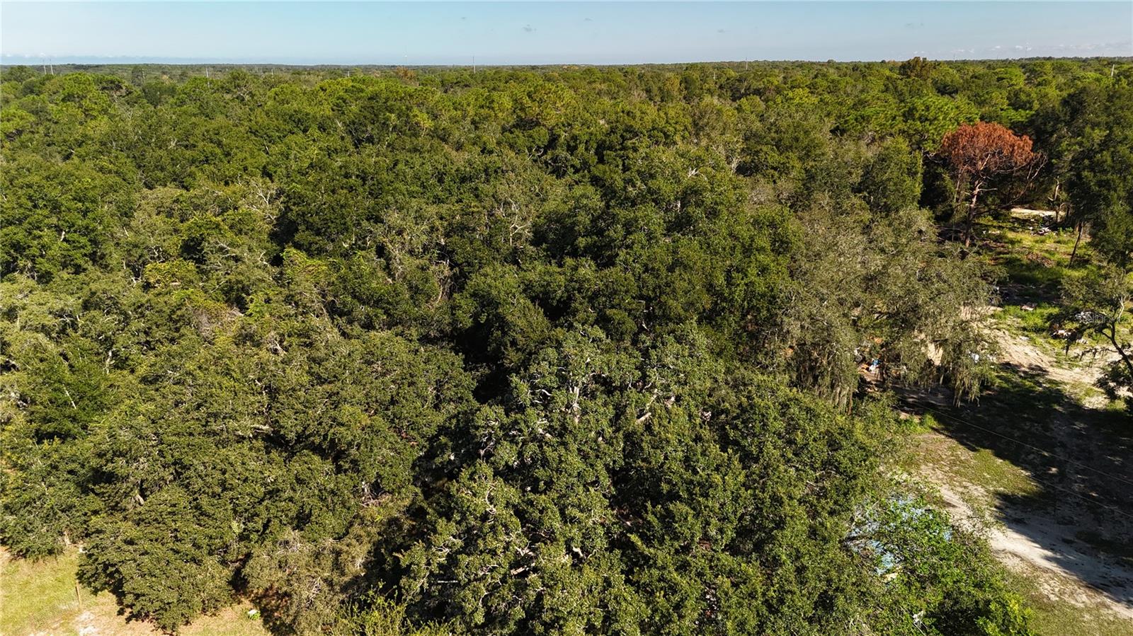 12510 ROBINHOOD RD, HUDSON, FL — photo 14